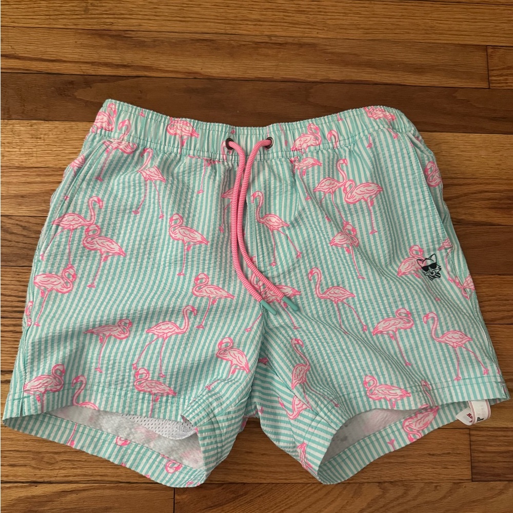 Men's Mint Stripe Flamingo Swim Trunks with Pink Drawstring by Party Pants